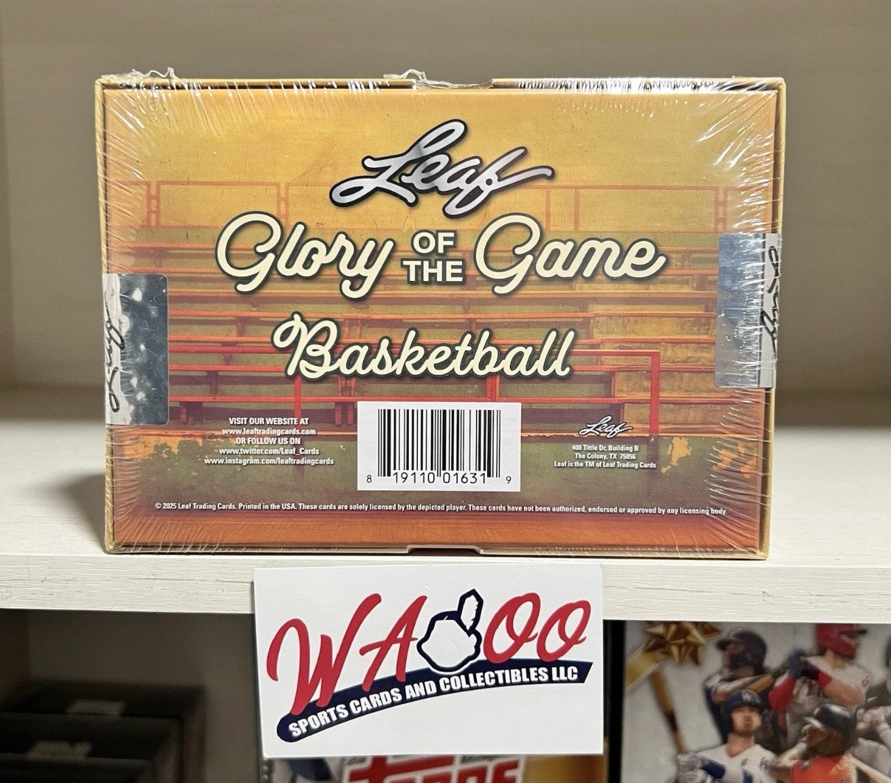 2025 Leaf Glory of the Game Basketball Hobby Box